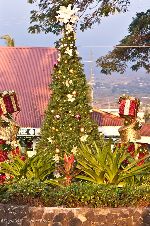 [20121219-IMG_5369-29.jpg]