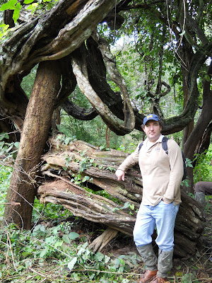 Kenny looking super relaxed while we waited for our guide to climb a tree and search for elephants