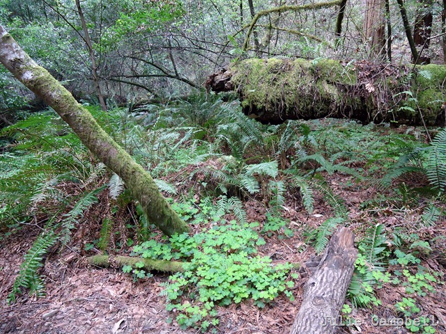 [DSC08719_edited-1%255B9%255D.jpg]