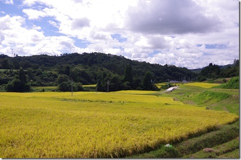 IMGP9963 IMGP9963