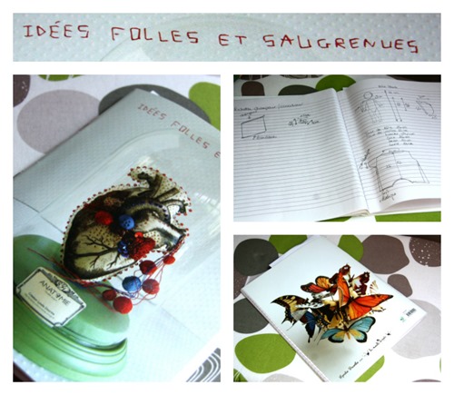 IdeesFollesEtSaugrenues IdeesFollesEtSaugrenues