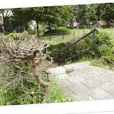 2010-06-30 Wijkschouw