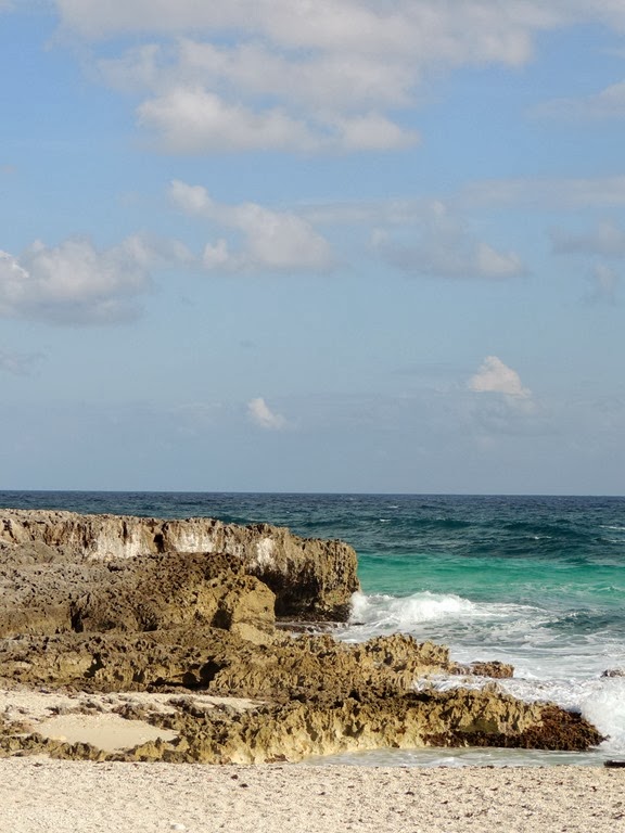 [DSCN7658%255B3%255D.jpg]