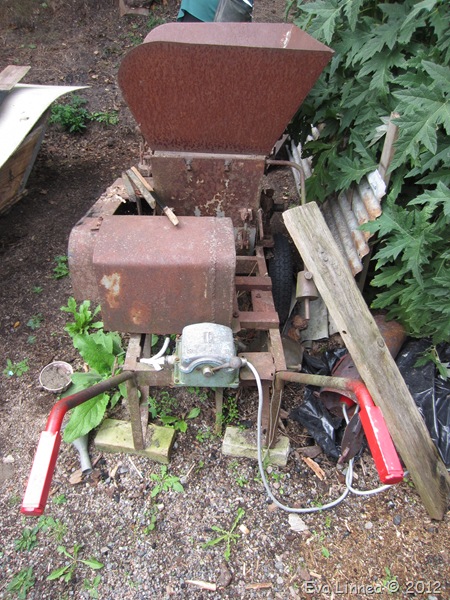 IMG_3380 IMG_3380