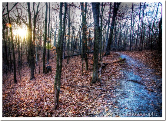 Shona Skye Creations - Wordless Wednesday - Early Morning Wandering