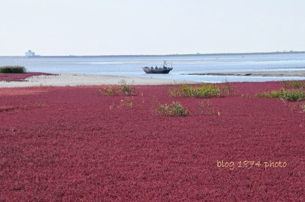 [SYG_4309%255B2%255D.jpg]