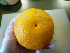 Monty used a navel orange in her fruit salad.  Navel oranges have no pits and their 