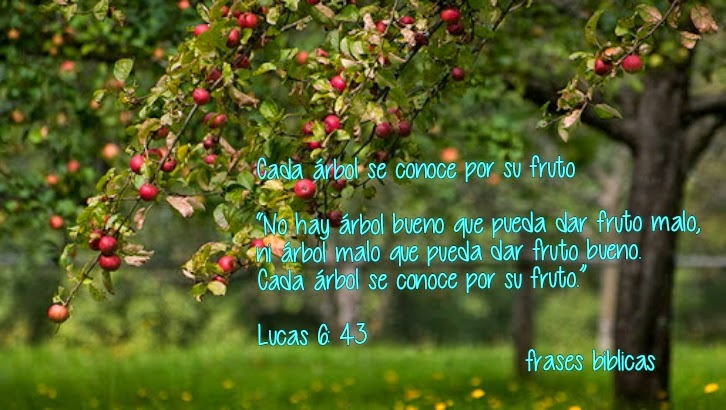 Frases Biblicas: Cada árbol se conoce por su fruto Lucas 6: 43