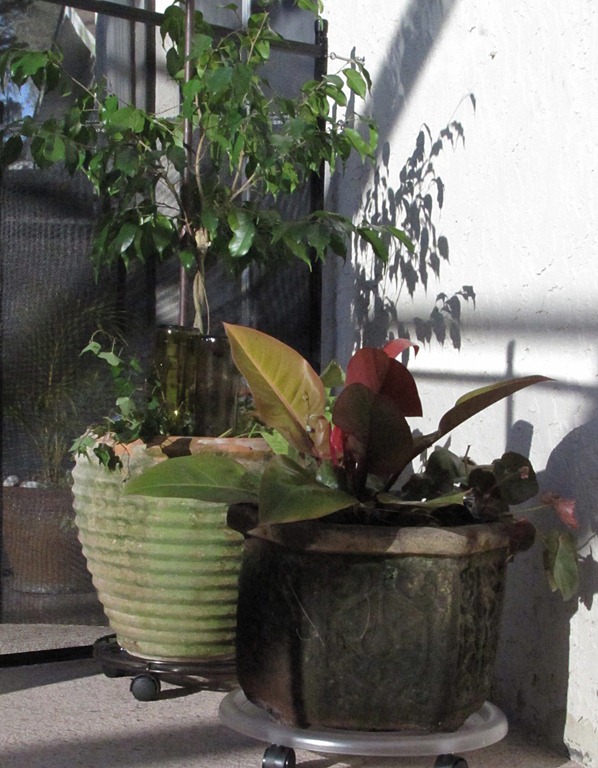 [IMG_3462%255B4%255D.jpg]