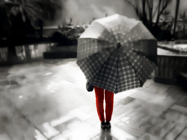 [DSCN2442_7%255B1%255D.jpg]