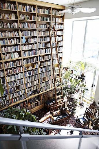 An impressive library with an equally impressive rolling ladder. (Pinterest)