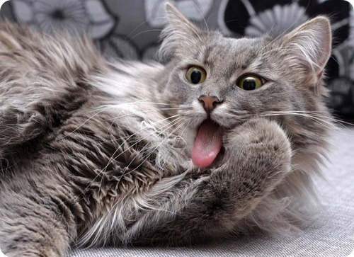 [clip_image008%255B4%255D.jpg]