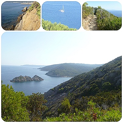 [le%2520lavandou%25201%255B5%255D.jpg]