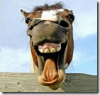 Funny Horse Smile
