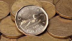 Loonies Loonies