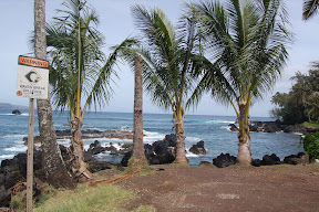 DSC_0909.JPG