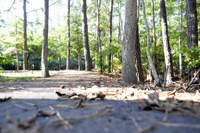[10-3011%2520bike%2520%2520woods%2520179%255B11%255D.jpg]