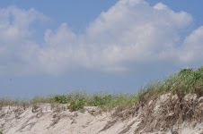 DSC_0635.JPG