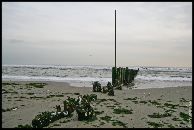 Вид на Америку. Rockaway   Ирландская ривьера (foto america  фото путешествия моря и океаны new york  0101 NY%25252C%252520Rockaway 8)