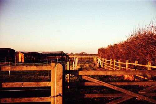 Horse-Land---XPRO Horse-Land---XPRO