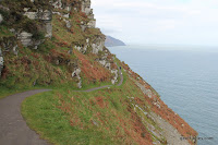 IMG_5976.JPG Photo