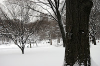 Central Park