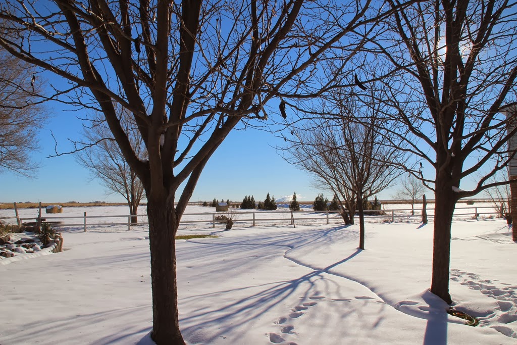 [IMG_1440%255B4%255D.jpg]