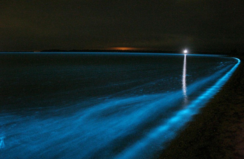 Hồ Gippsland (Úc) với làn nước phát ánh sáng xanh kỳ ảo Bioluminescence3%25255B3%25255D
