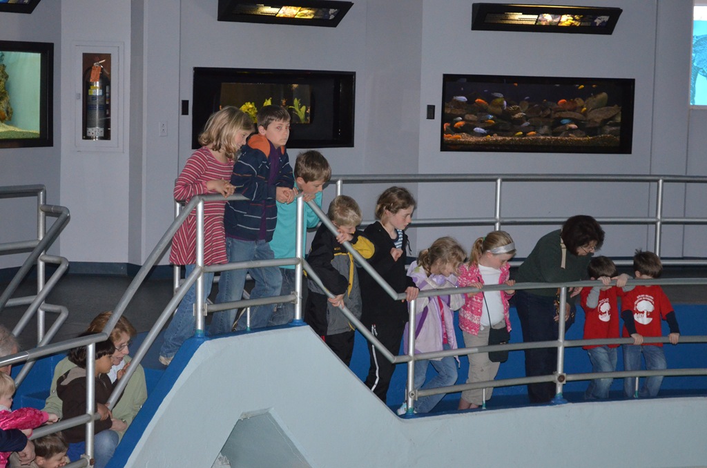 [DSC_0472%255B3%255D.jpg]