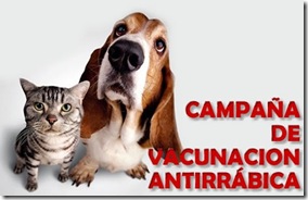 Nuevas fechas de vacunación antirrábica para perros y gatos en zona centro