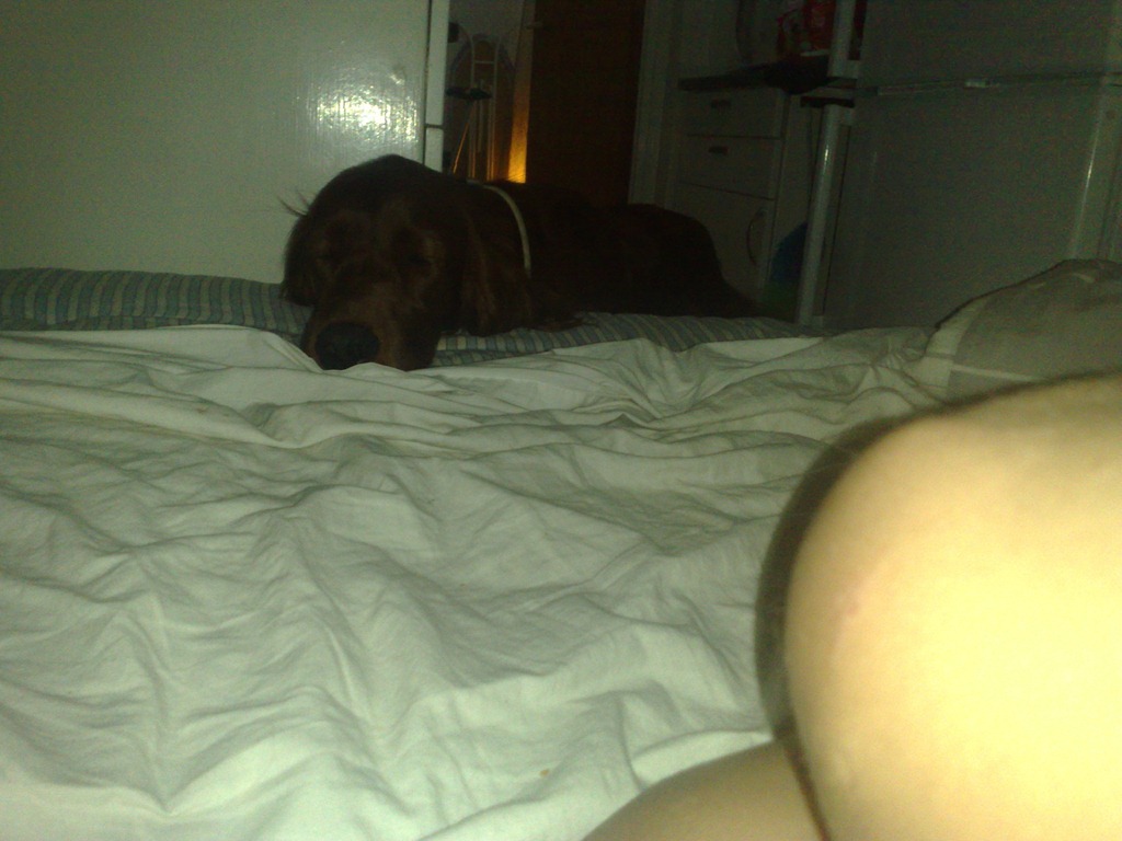 [Bild367%255B3%255D.jpg]