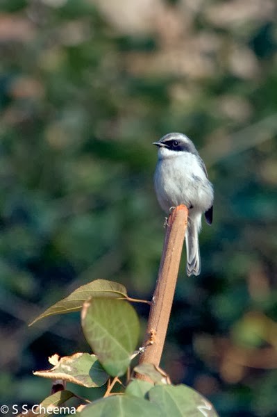 IMG_0370-Edit.jpg IMG 0370 Edit