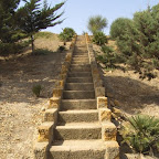 Eraclea-Scalinata Museo.jpg