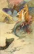 Dragon Mermaid