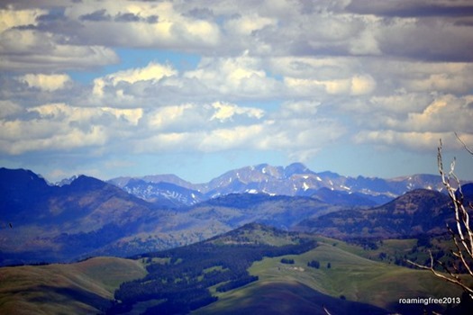 From the top of Mt. Washburn