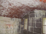 IMG_1596.jpg