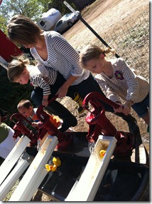 IMG_2287 IMG_2287