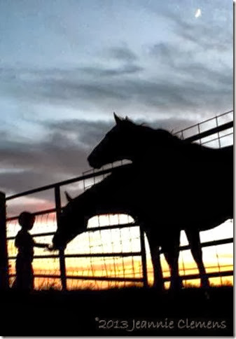 a boy and horses