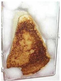 c0 This image of the Virgin Mary in toast sold for $28,000 at auction.