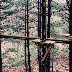 Adventure Centre History - 049.jpg