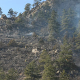 Switchback Fire