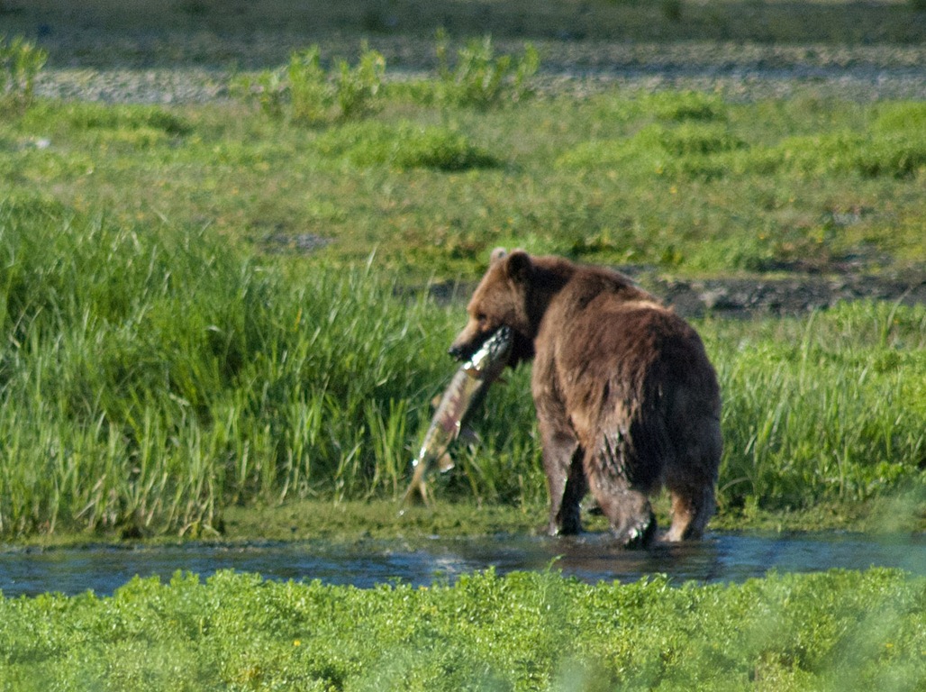 [2011-Cruise-591x3.jpg]