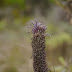 P1030959