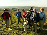 Vineyards