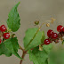 20111023_25