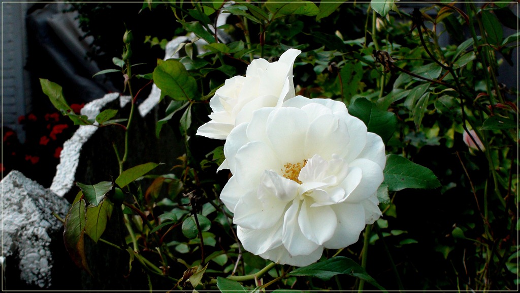 [DSC06816%255B3%255D.jpg]