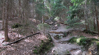 DSCN1448.JPG Photo