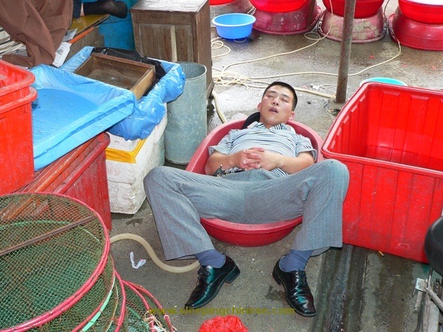 sleeping-chinese-6 sleeping-chinese-6