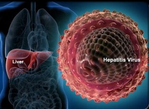 [Hepatitis-B%255B3%255D.jpg]