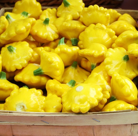 [pattypan%2520squash%2520taliaferro%255B4%255D.jpg]